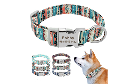 pet collar